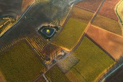 Finca-La-Oracion-desde-el-aire