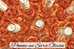 Hacienda Grimón rosado Sara Oliván